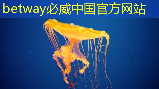 什么是通讯芯片?常见的通讯芯片有什么? 什么是通讯芯片?常见的通讯芯片有什么?
