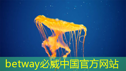 betway必威西汉姆联官网:华为发布鸿蒙智行首款全景智慧旗舰SUV问界M9;消息称特斯拉将成为台积电2024年3nm新芯片设计定案客户丨智能制造日报 betway必威西汉姆联官网:华为发布鸿蒙智行首款全景智慧旗舰SUV问界M9;消息称特斯拉将成为台积电2024年3nm新芯片设计定案客户丨智能制造日报