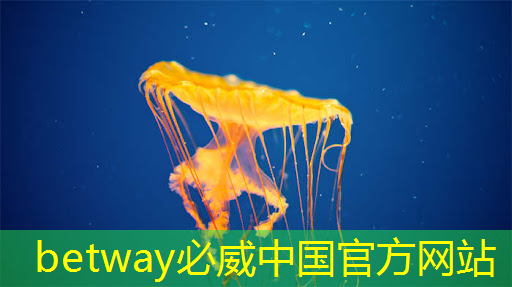 必威:探秘飞腾:国产芯片的崛起之星 必威:探秘飞腾:国产芯片的崛起之星