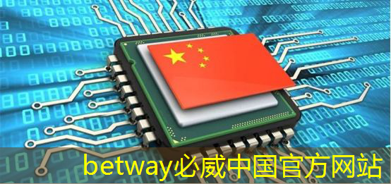 必威：上海市芯片制造与封装电子电镀专题研讨会在上海大学顺利召开！