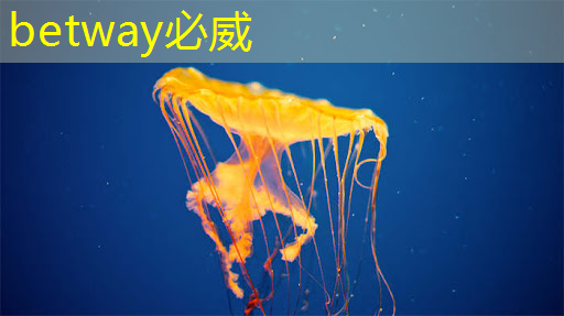 上海市芯片制造与封装电子电镀专题研讨会在上海大学顺利召开! 上海市芯片制造与封装电子电镀专题研讨会在上海大学顺利召开!