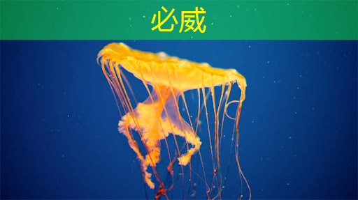 betway必威西汉姆联官网:AI 智能时代的 Azure Maia:从芯片到软件再到系统 betway必威西汉姆联官网:AI 智能时代的 Azure Maia:从芯片到软件再到系统