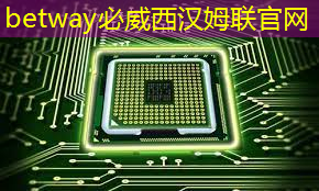 betway必威中国官方网站:比亚迪拟自研智能驾驶芯片,欲强补智能化|Long China 50独家 betway必威中国官方网站:比亚迪拟自研智能驾驶芯片,欲强补智能化|Long China 50独家
