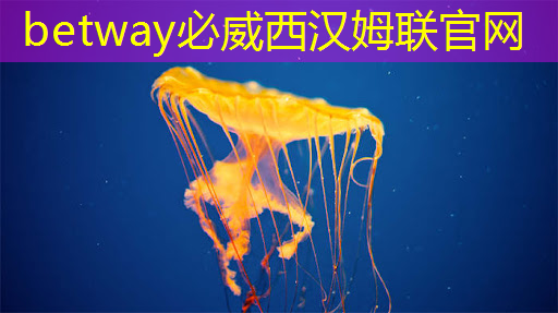 AI视觉芯片在N大边缘智能场景应用?8.23直播开启深度解读 AI视觉芯片在N大边缘智能场景应用?8.23直播开启深度解读