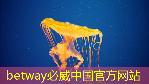 光芯片,速度快10000倍 光芯片,速度快10000倍