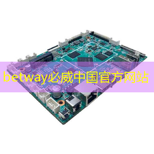 betway必威:AI, GPU和芯片的未来 betway必威:AI, GPU和芯片的未来