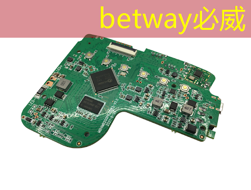 betway必威:地平线高级研发总监凌坤:好的自动驾驶AI芯片更是“好用”的芯片|直播预告 betway必威:地平线高级研发总监凌坤:好的自动驾驶AI芯片更是“好用”的芯片|直播预告