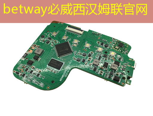 上海市芯片制造与封装电子电镀专题研讨会在上海大学顺利召开! 上海市芯片制造与封装电子电镀专题研讨会在上海大学顺利召开!