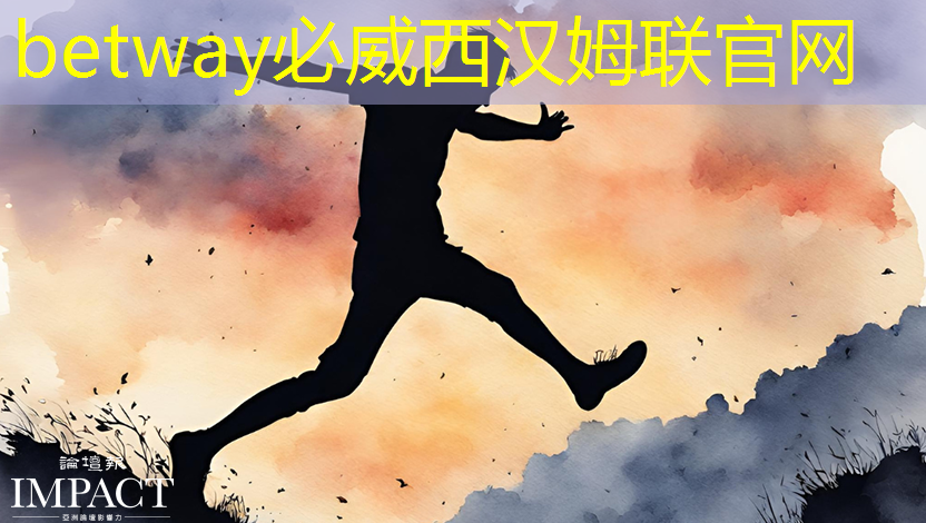 张强:中国汽车智能芯片行业里的行动派 张强:中国汽车智能芯片行业里的行动派