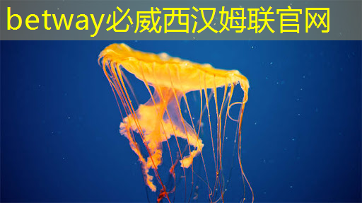 betway必威中国官方网站:一年的时间,这家上海芯片独角兽又给我们带来了什么惊喜? betway必威中国官方网站:一年的时间,这家上海芯片独角兽又给我们带来了什么惊喜?