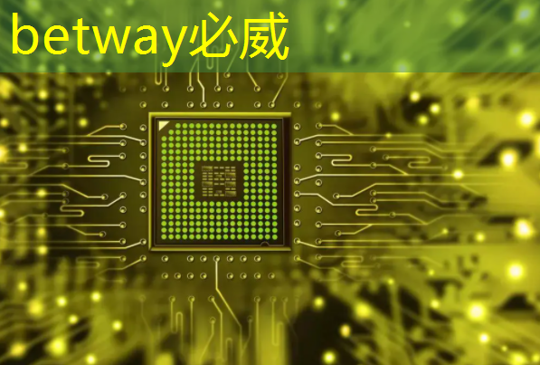 上海市芯片制造与封装电子电镀专题研讨会在上海大学顺利召开! 上海市芯片制造与封装电子电镀专题研讨会在上海大学顺利召开!