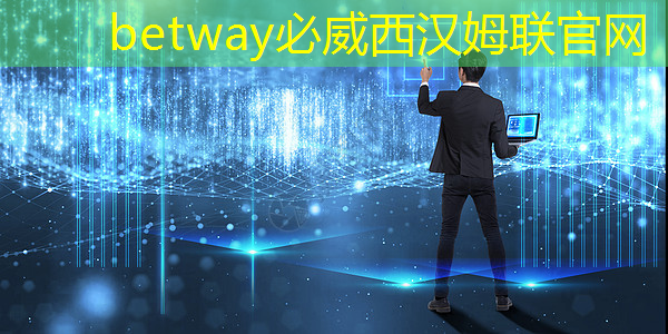 betway必威:张强:中国汽车智能芯片行业里的行动派 betway必威:张强:中国汽车智能芯片行业里的行动派