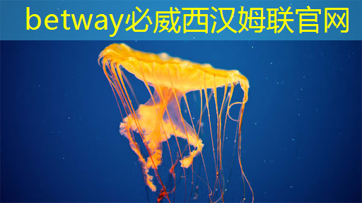betway必威西汉姆联官网：公开课预告：一芯多屏趋势下，智能座舱芯片的创新与应用