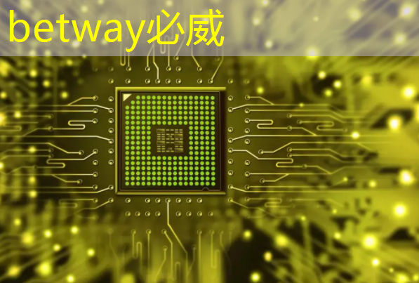 betway必威西汉姆联官网：【寒假】沉浸式芯片科技探索体验营——思无域 行无疆 玩科技 驭未来‍