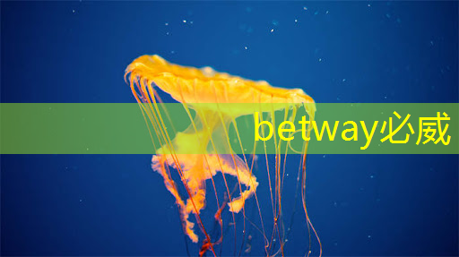 betway必威:清华发布《人工智能芯片技术白皮书(2018)》 betway必威:清华发布《人工智能芯片技术白皮书(2018)》