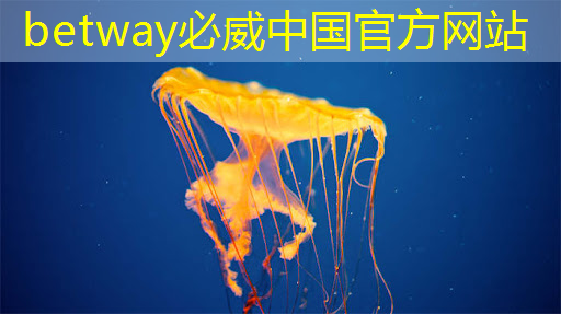 必威:比亚迪拟自研智能驾驶芯片,欲强补智能化|Long China 50独家 必威:比亚迪拟自研智能驾驶芯片,欲强补智能化|Long China 50独家
