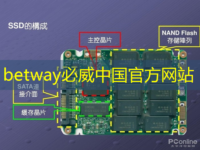 betway必威:亚马逊加大力度打造可与英伟达竞争的AI芯片 betway必威:亚马逊加大力度打造可与英伟达竞争的AI芯片