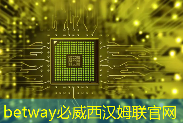 AMD AI芯片被指软件有缺陷,开箱体验远不如NVIDIA | LeetTalk Daily AMD AI芯片被指软件有缺陷,开箱体验远不如NVIDIA | LeetTalk Daily