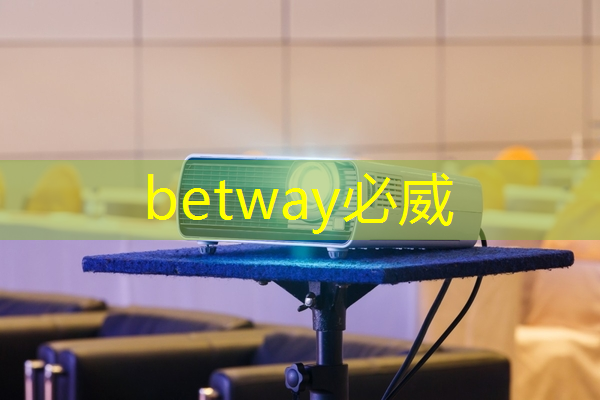 betway必威西汉姆联官网:一年的时间,这家上海芯片独角兽又给我们带来了什么惊喜? betway必威西汉姆联官网:一年的时间,这家上海芯片独角兽又给我们带来了什么惊喜?