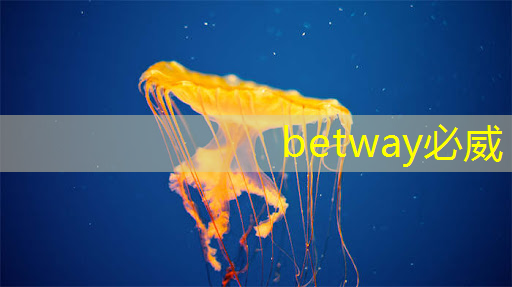 betway必威西汉姆联官网:接力巨轮智能,全国唯一人形机器人芯片龙头,业绩暴增354%+306家机构提前爆买 betway必威西汉姆联官网:接力巨轮智能,全国唯一人形机器人芯片龙头,业绩暴增354%+306家机构提前爆买