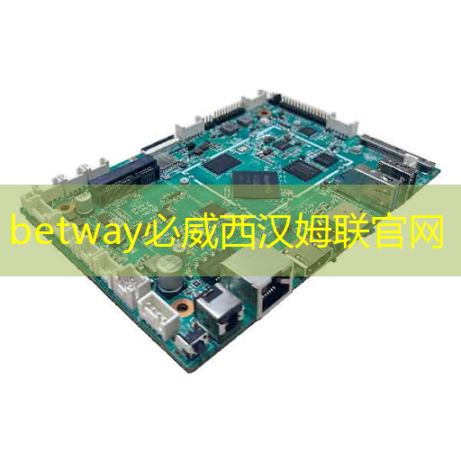 betway必威中国官方网站:WAIC2021|使能智慧交通,黑芝麻智能核心芯片推动汽车产业“智”变升级 betway必威中国官方网站:WAIC2021|使能智慧交通,黑芝麻智能核心芯片推动汽车产业“智”变升级
