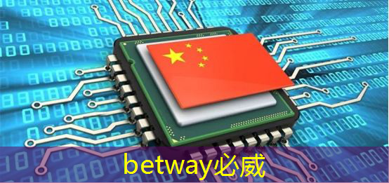 必威:张强:中国汽车智能芯片行业里的行动派 必威:张强:中国汽车智能芯片行业里的行动派