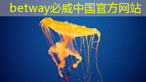 betway必威西汉姆联官网:公开课预告:一芯多屏趋势下,智能座舱芯片的创新与应用 betway必威西汉姆联官网:公开课预告:一芯多屏趋势下,智能座舱芯片的创新与应用