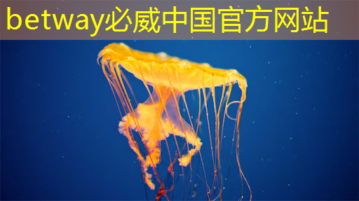 betway必威中国官方网站:直播预告:单芯片边缘计算SoC在CIS与AI融合上的创新与挑战 betway必威中国官方网站:直播预告:单芯片边缘计算SoC在CIS与AI融合上的创新与挑战