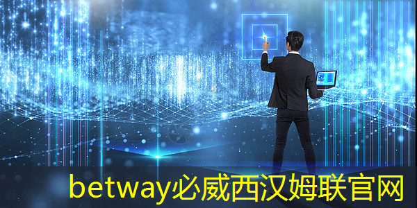 优化全部应届生？星纪魅族中止自研芯片