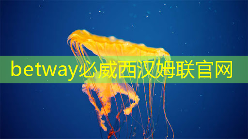 心态崩了，恨死华为，Nova12用过时芯片直接干了安卓旗舰的市场!