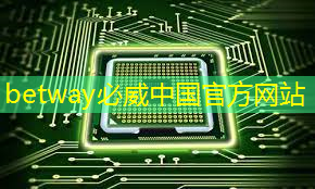 2020-2025 年中国人工智能芯片行业调研及数字营销战略研究报告 2020-2025 年中国人工智能芯片行业调研及数字营销战略研究报告